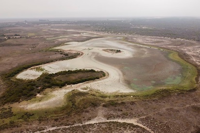 ESPAÑA SIGUE DESAFIANDO AL MUNDO CON SU MALTRATO A DOÑANA