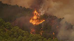 ARDE TENERIFE
