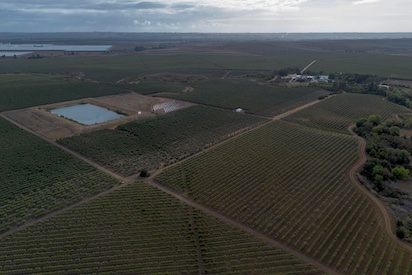 DOÑANA: PIDIENDO RESPONSABILIDADES A LOS LADRONES DE AGUA. A VER SI SIGUEN