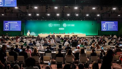 COP 282