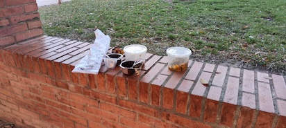 comida 2