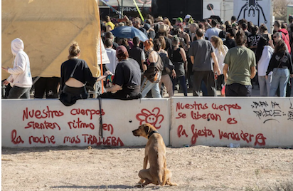 SE ACABA LA FIESTA ILEGAL… DE FORMA ORGANIZADA… Y VOLVERÁN