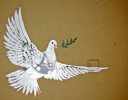 PAZ 11