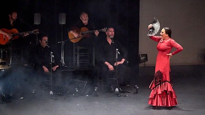 flamenco madrid 12