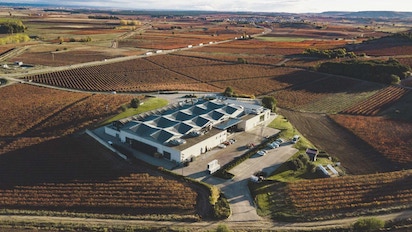 vino 2