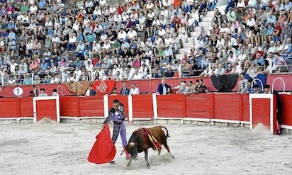 verguenza