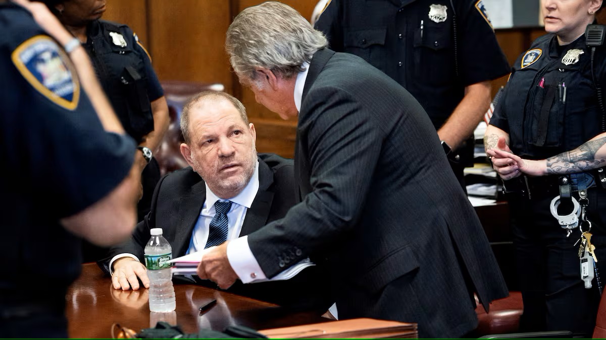 WEINSTEIN: SI TIENES DINERO, TUS ABOGADOS TE HARÁN IMPUNE