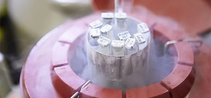 EMBRIONES CONGELADOS 3