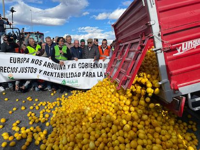 LIMONES 93