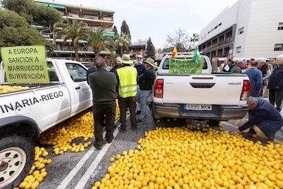 limones 92