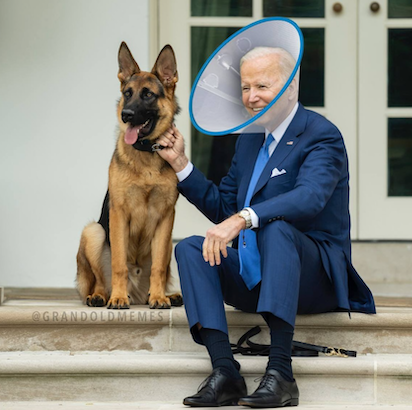 BIDEN 3