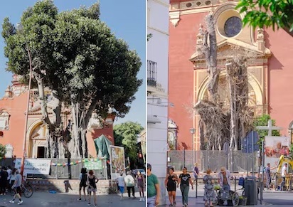 FICUS 2