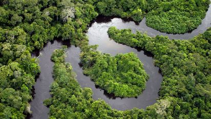 SE FRENA LA DEFORESTACIÓN EN BRASIL