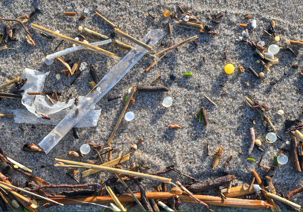 EL GRAVE PROBLEMA DE LOS PLÁSTICOS, MICROPLÁSTICOS Y NANOPLÁSTICOS
