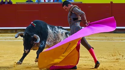TOROIS 
