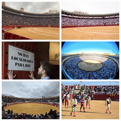 toros 2
