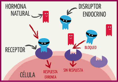 disruptores 2