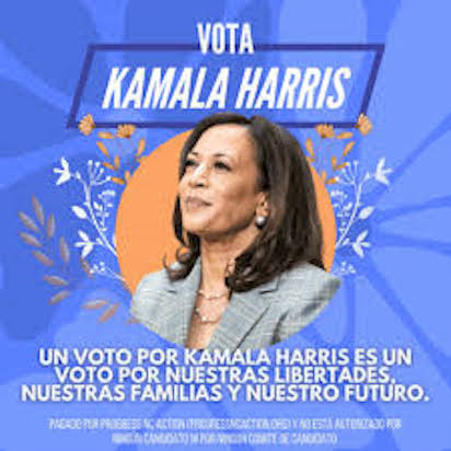 ELECCIONES 9