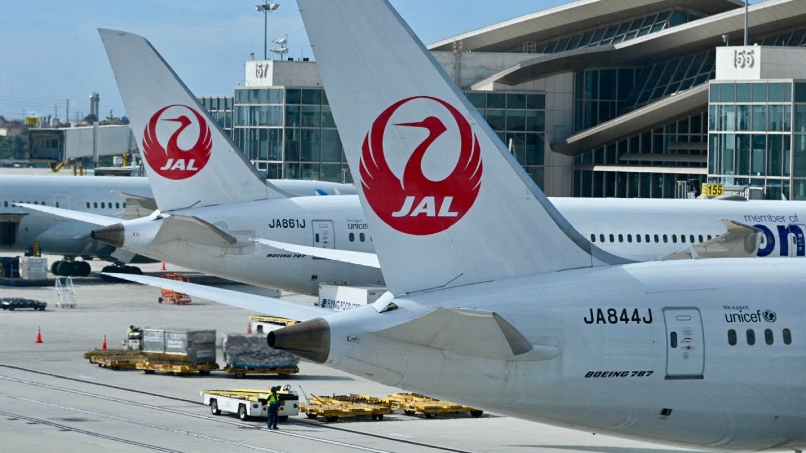 JAPÓN: UN CIBERATAQUE PARALIZA A SU PRINCIPAL LÍNEA AÉREA