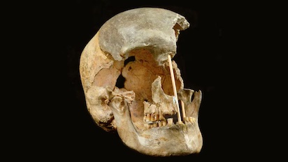 SAPIENS, NEANDERTALES Y VARIAS EXTINCIONES