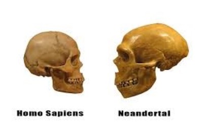 sapiens 2
