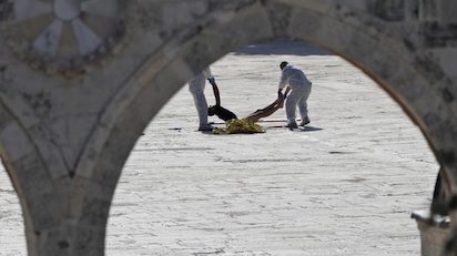 GAZA 11