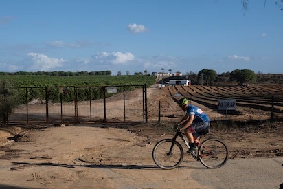 LA CASA DE ALBA SAQUEA EL AGUA DEL COTO DE DOÑANA