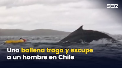 BALLENA 2