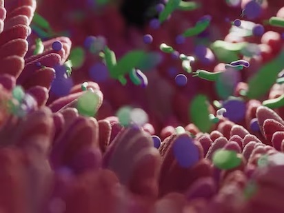 microbios 3