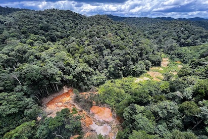 AMAZONÍA: LOS NARCOS A POR EL ORO