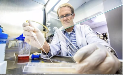 CELULAS MADRE PARA TRATAR EL PARKINSON