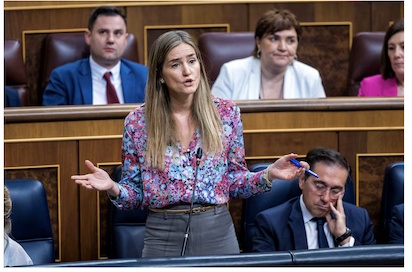 SIGUEN DISCUTIENDO LOS ORIGENES DEL APAGÓN