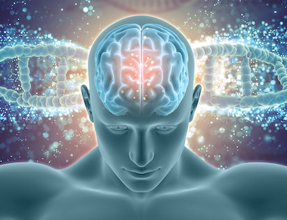 ALZHEIMER5