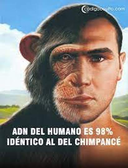 MONO