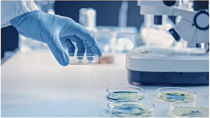 UN GEN CREA SUPERBACTERIAS