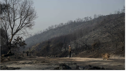 ESPAÑA EN LLAMAS. ¿CAMBIO CLIMÁTICO O FALTA DE PREVISIÓN?