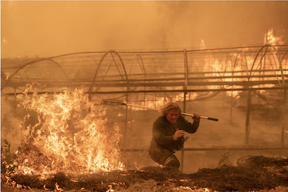 Los incendios continúan. 100 km de línea de fuego