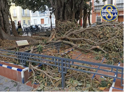 LA NUEVA NOMENCLATURA CLIMATICA: ESTRÉS TÉRMICO EN LOS ARBOLES