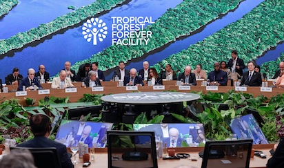 COP30