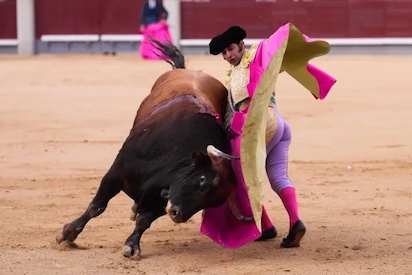 MORANTE2