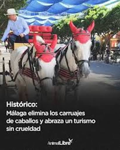 malaga