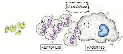 ¡QUÉ ÁNIMOS NOS DA LA CIENCIA!
