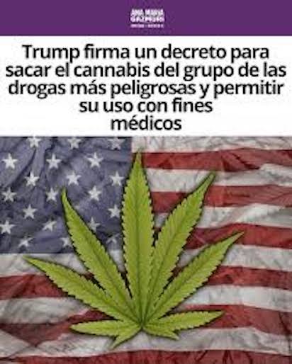 MARIHUANA