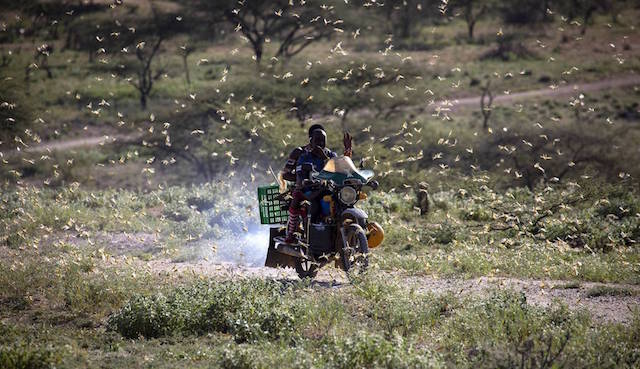 AYUDA URGENTE PARA EL CUERNO DE ÁFRICA