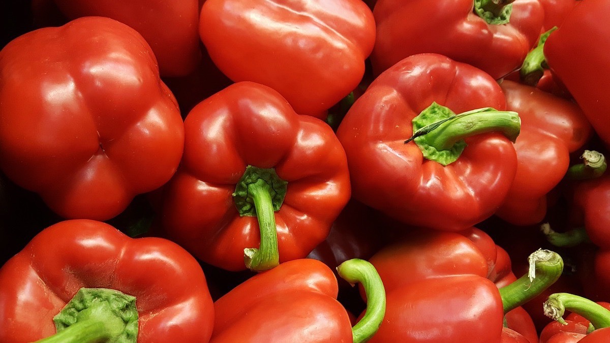 pimiento rojo 6