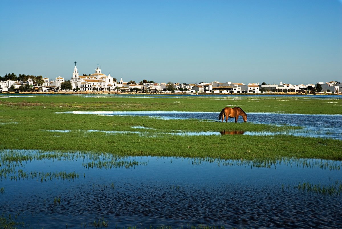 donana