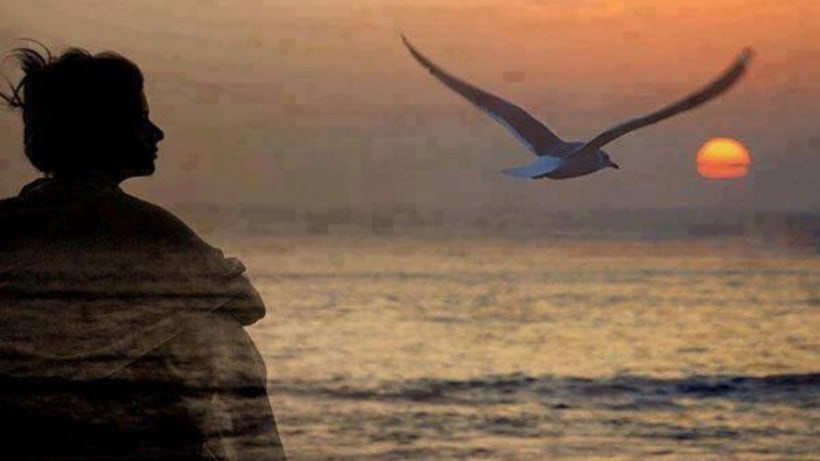 Mujer gaviota best original.png