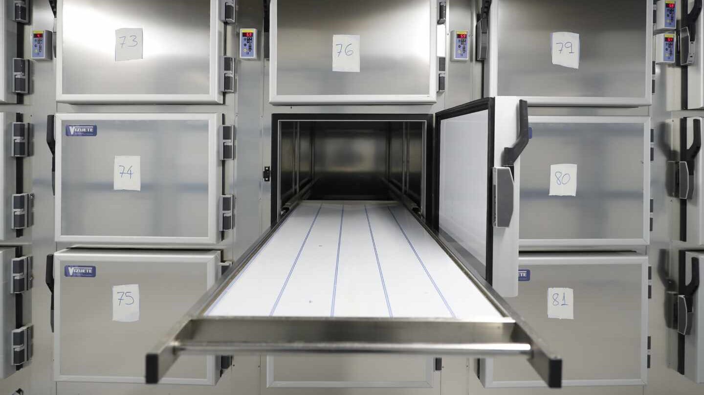 morgue ciudada de la justicia 6 1440x808
