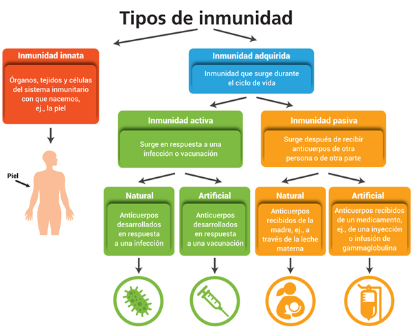 Immunity Full SP Spanish 600