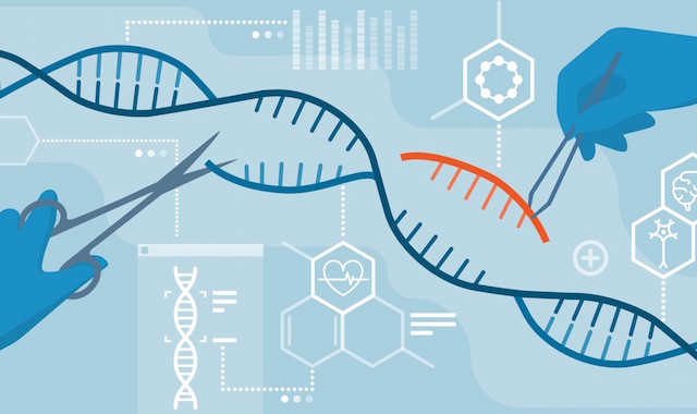 test covid 19 barato pcr crispr 5698